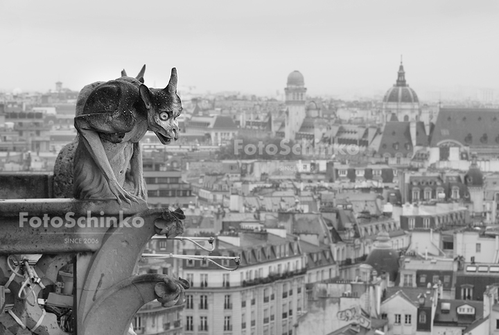 08 | Notre-Dame de Paris | FotoSchinko
