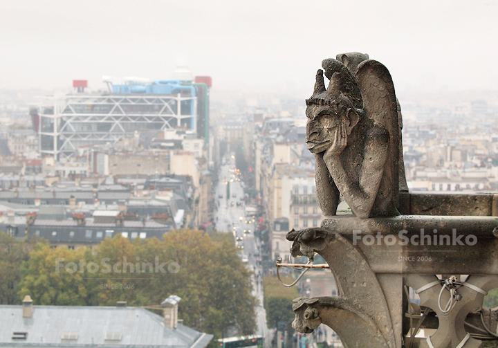 21 | Notre-Dame de Paris | FotoSchinko