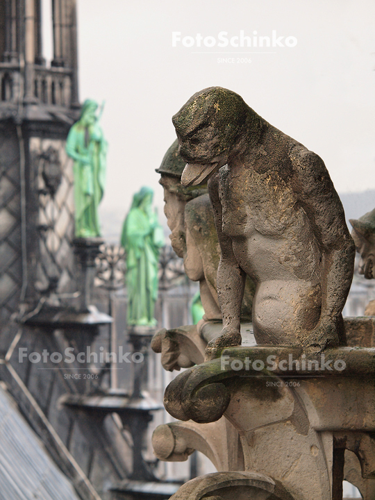 27 | Notre-Dame de Paris | FotoSchinko