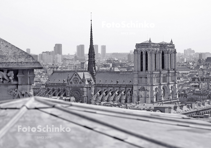 32 | Notre-Dame de Paris | FotoSchinko