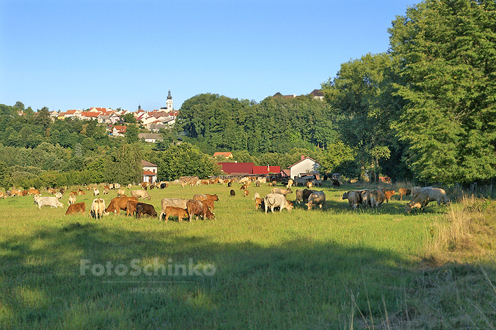 32 | Nové Hrady | Památky žijí | FotoSchinko