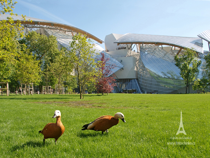 08 | Fondation Louis Vuitton | Paris | FotoSchinko