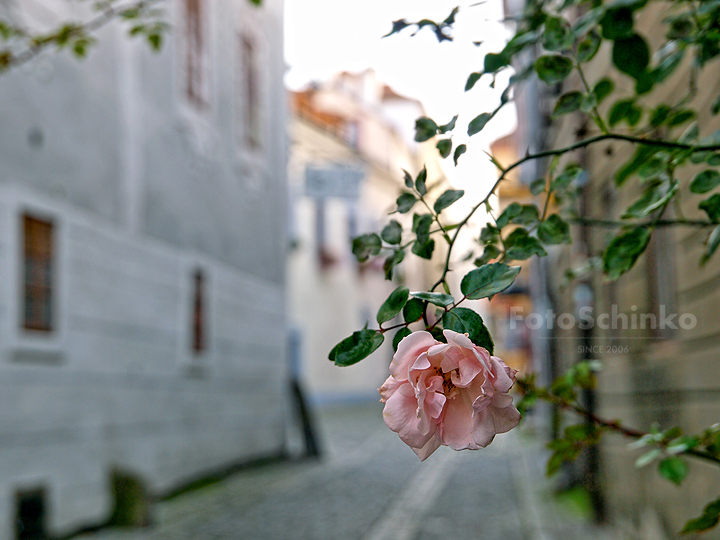 27 | Český Krumlov | Lockdown | FotoSchinko