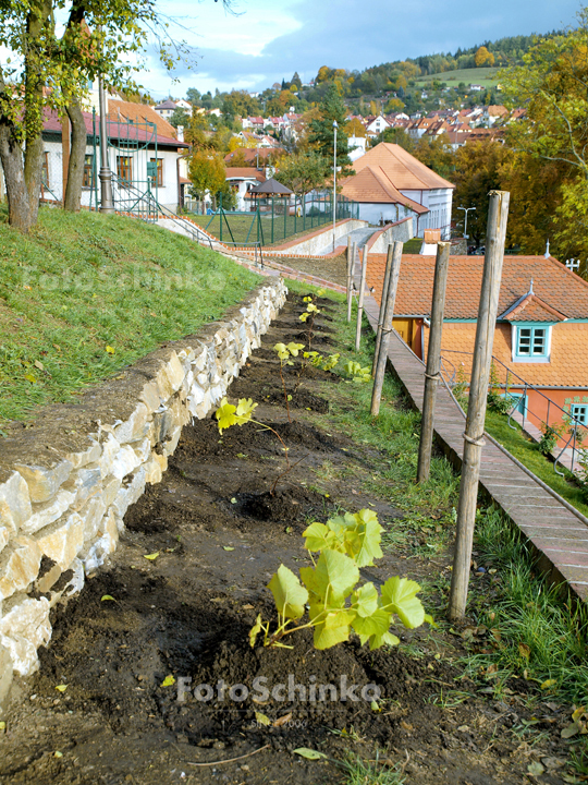 21 | Festival vína | Český Krumlov | FotoSchinko