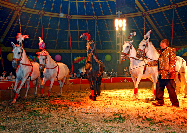 16 | Párty v cirkusu Bob Navarro King | Třeboň | FotoSchinko