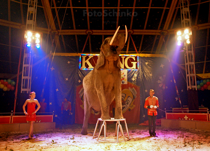 18 | Párty v cirkusu Bob Navarro King | Třeboň | FotoSchinko