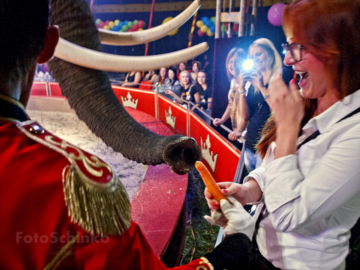 19 | Párty v cirkusu Bob Navarro King | Třeboň | FotoSchinko