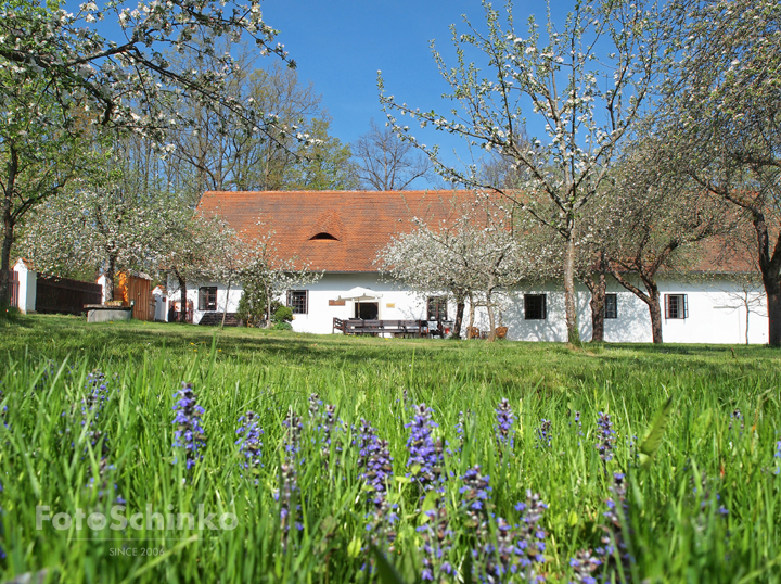 08 | Památník Jana Žižky | Trocnov | FotoSchinko