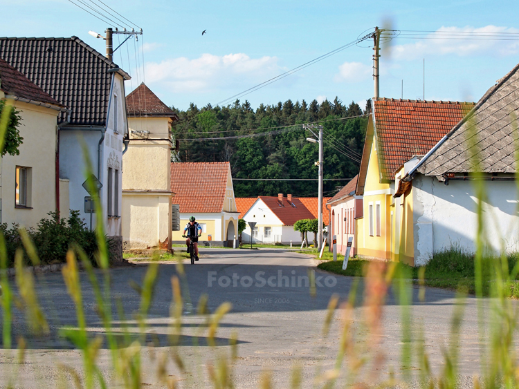 06 | Selské baroko | Svinky | FotoSchinko