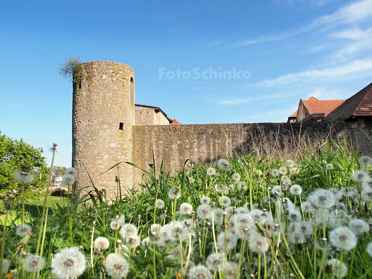 03 | Horní tvrz | Kestřany | FotoSchinko