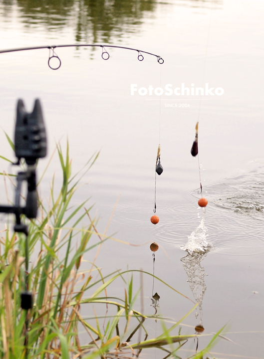 03 | Jánský rybník | Nové Hrady | FotoSchinko